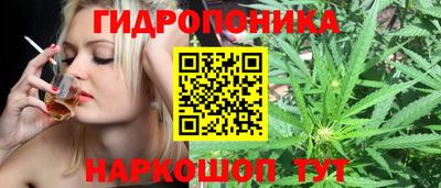 прущие грибы Апрелевка