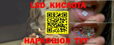 прущие грибы Апрелевка
