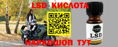прущие грибы Апрелевка